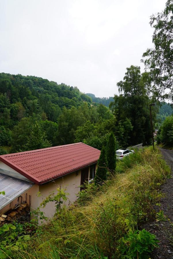 Ruhiges Ferienhaus Am Waldrand Mit Sauna Und Kamin - Hellaberg II Langenbach  Екстериор снимка